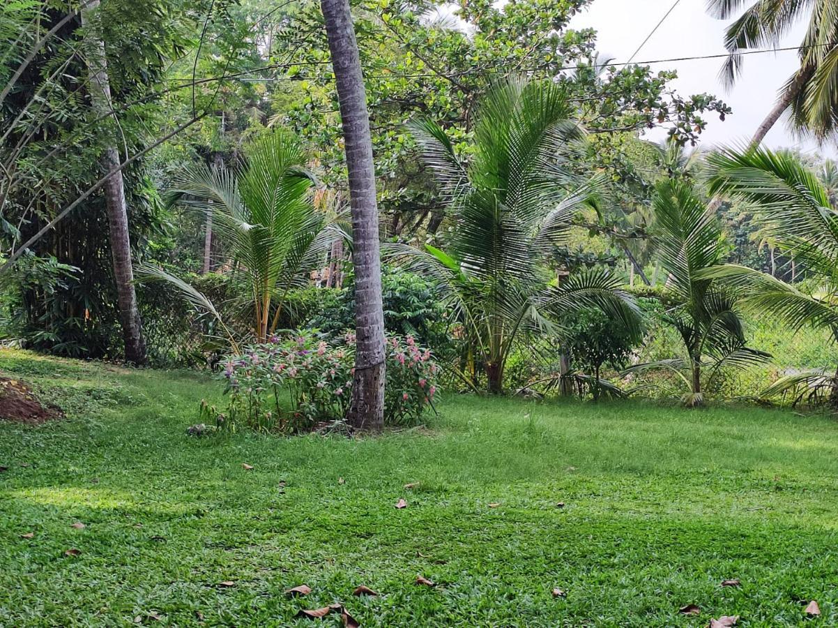 Schatzi'S Hideaway แทนกาลเล ภายนอก รูปภาพ