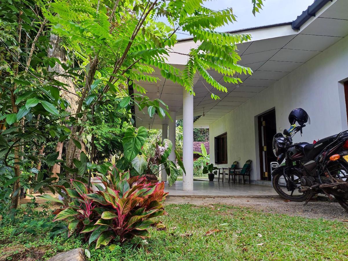 Schatzi'S Hideaway แทนกาลเล ภายนอก รูปภาพ