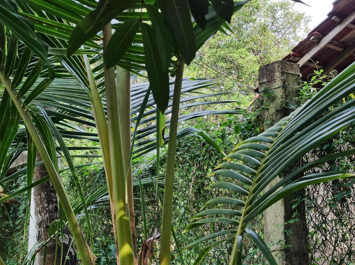Schatzi'S Hideaway แทนกาลเล ภายนอก รูปภาพ
